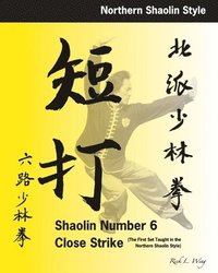 bokomslag Shaolin #6 Close Strike: The First Set Taught in the Northern Shaolin Style