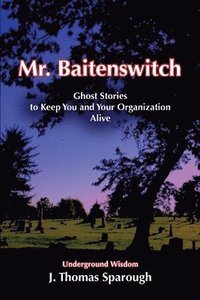 bokomslag Mr. Baitenswitch: Ghost Stories to Keep You and Your Organization Alive