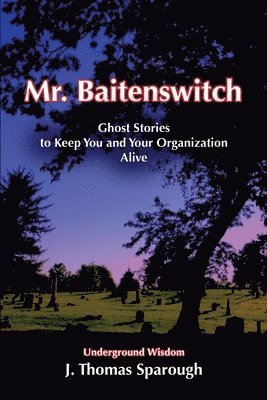 bokomslag Mr. Baitenswitch