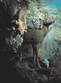 bokomslag Conrad Atkinson: Landescapes [With DVD]