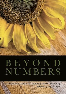 bokomslag Beyond Numbers