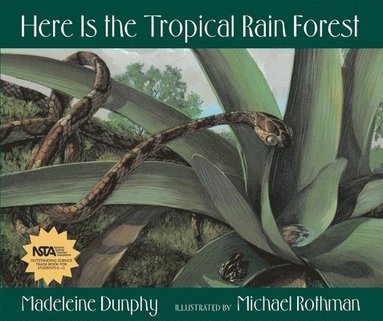 Madeleine Dunphy - Here Is the Tropical Rain Forest, Häftad