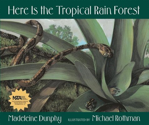 Here Is the Tropical Rain Forest 1