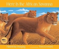 bokomslag Here Is the African Savanna