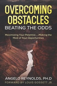 bokomslag Overcoming Obstacles.....Beating The Odds!: Maximize Your Potential.....Making The Most of Your Opportunities!