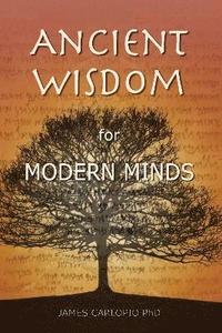 bokomslag Ancient Wisdom for Modern Minds