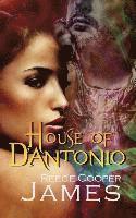 House of D'Antonio 1