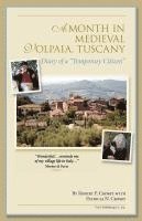 bokomslag A Month in Medieval Volpaia, Tuscany: Diary of a "Temporary Citizen"