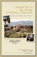 bokomslag A Month in Medieval Volpaia, Tuscany: Diary of a 'Temporary Citizen'