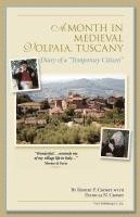 bokomslag A Month in Medieval Volpaia, Tuscany: Diary of a 'Temporary Citizen'