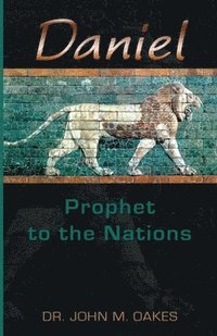 bokomslag Daniel Prophet to the Nations
