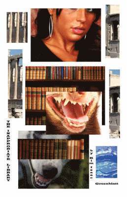 Inappropriate Library