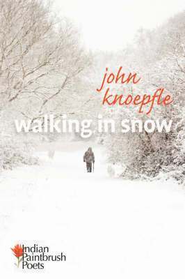 Walking in Snow 1