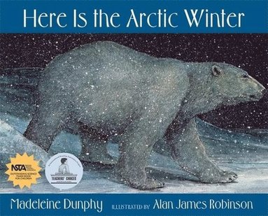 Madeleine Dunphy - Here Is the Arctic Winter, Häftad