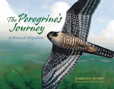 Madeleine Dunphy - Peregrine's Journey, Häftad
