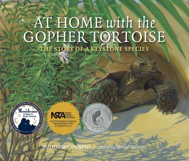 Madeleine Dunphy - At Home with the Gopher Tortoise, Häftad