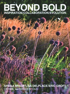Eric Groft, Sheila Brady, Lisa Delplace, Tom Christopher - Beyond Bold: Inspiration, Collaboration, Evolution, Inbunden