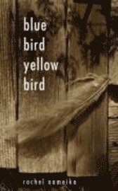 bokomslag Blue Bird Yellow Bird