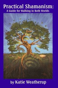 bokomslag Practical Shamanism, A Guide for Walking in Both Worlds
