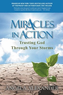 Miracles In Action: Trusting God Through Your Storms