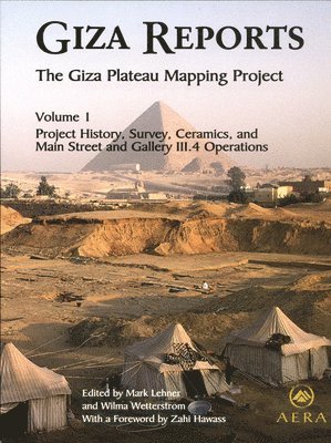 bokomslag Giza Reports, The Giza Plateau Mapping Project