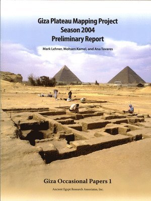 bokomslag Giza Plateau Mapping Project Season 2004 Preliminary Report