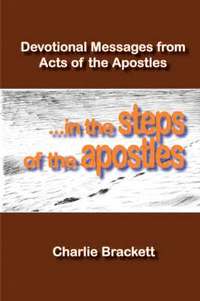 bokomslag In the Steps of the Apostles