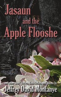 bokomslag Jasaun and the Apple Flooshe