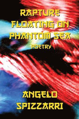 bokomslag Rapture Floating On Phantom Sea: Poetry