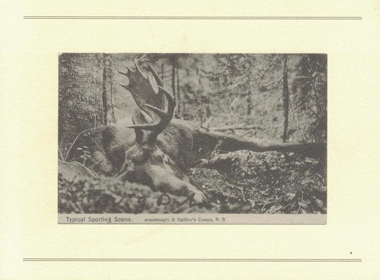 The Hunt