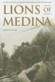 Lions of Medina 1