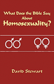 David Stewart - What Does the Bible Say About Homosexuality?, Häftad