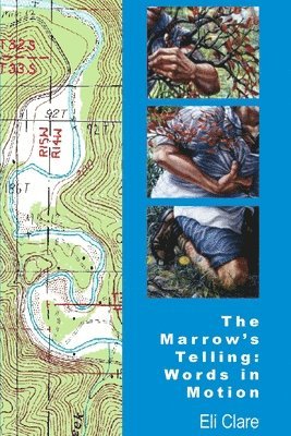 bokomslag The Marrow's Telling: Words in Motion