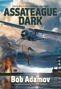 bokomslag Assateague Dark