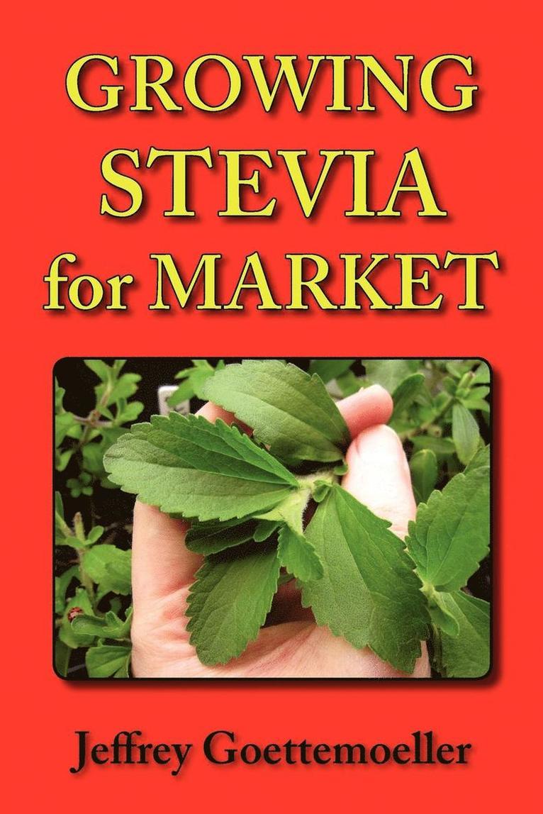 Growing Stevia for Market 1