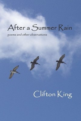 After a Summer Rain: poems and other observations 1