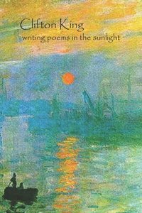 bokomslag writing poems in the sunlight