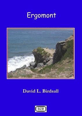 David L Birdsall - Ergomont, Häftad