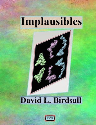 David L Birdsall - Implausibles, Häftad