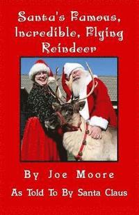bokomslag Santa's Famous, Incredible, Flying Reindeer