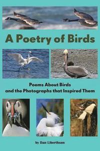 bokomslag A Poetry of Birds