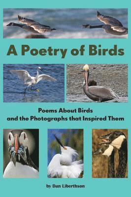 A Poetry of Birds 1