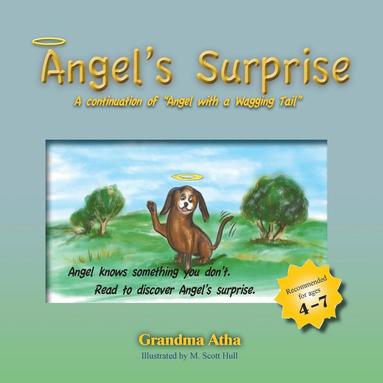 Shirley Swigart Atha - Angel's Surprise, Häftad