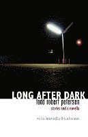 bokomslag Long After Dark