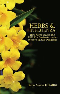 bokomslag Herbs and Influenza