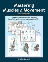 bokomslag Mastering Muscles and Movement: A Brain-Friendly System for Learning Musculoskeletal Anatomy and Basic Kinesiology