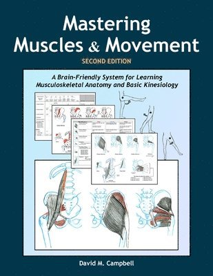 Mastering Muscles and Movement: A Brain-Friendly System for Learning Musculoskeletal Anatomy and Basic Kinesiology 1