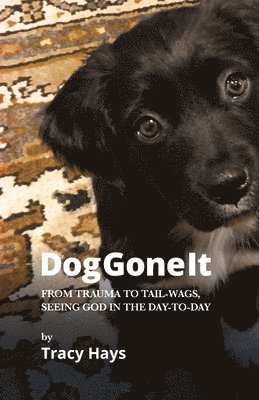 Dog Gone It: From Trauma to Tail-Wags, Seeing God in the Day-to-Day 1