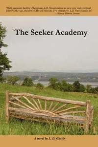 bokomslag Seeker Academy