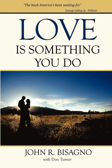bokomslag Love Is Something You Do